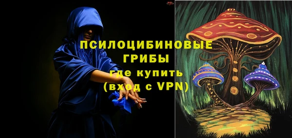 альфа пвп Алексеевка