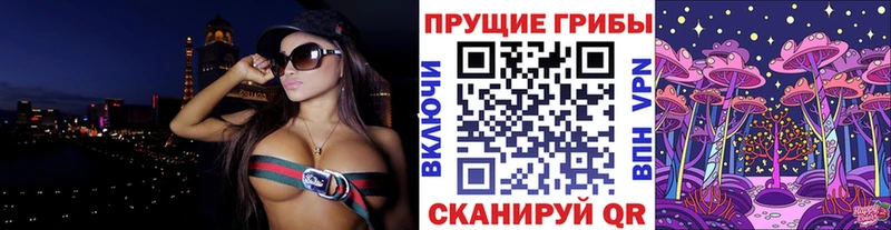 купить наркоту Родники Галлюциногенные грибы ЛСД