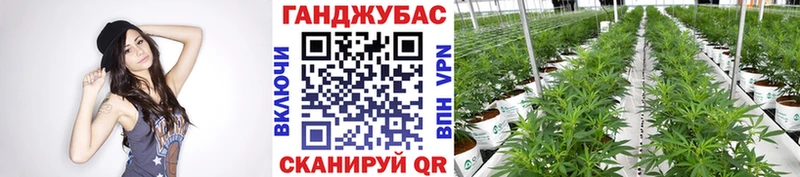 наркотики Родники shop клад Каннабис AK-47